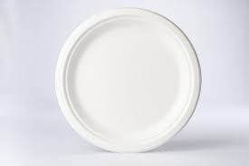 PLATO CARTON PANDO 23 CM X UND